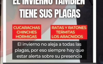 EL INVIERNO TAMBIEN TIENE SUS PLAGAS