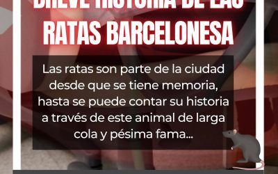 BREVE HISTORIA DE LAS RATAS BARCELONESA