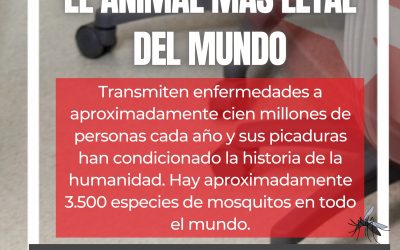 EL ANIMAL MAS LETAL DEL MUNDO