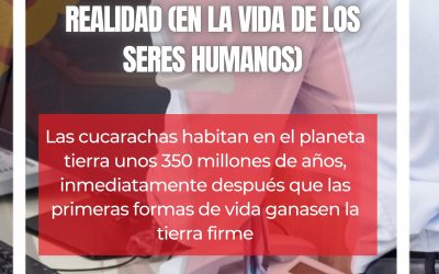 CUCARACHAS: ENTRE SUEÑO Y REALIDAD (EN LA VIDA DE LOS SERES HUMANOS)