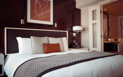 Chinches en Hoteles en Barcelona: cómo eliminarlas sin cerrar habitaciones