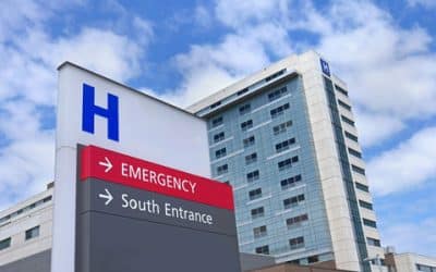 Chinches en Hospitales en Barcelona: Protocolo Urgente y Eliminación Profesional 